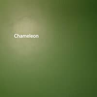 Chameleon