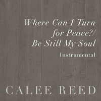 Where Can I Turn for Peace? / Be Still My Soul