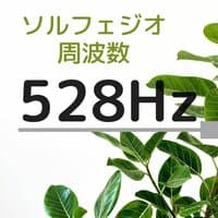 ソルフェジオ 周波数 528 Hz・記憶力向上，集中力高める