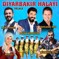 Diyarbakır Halayı