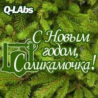 С Новым годом, соликамочка!