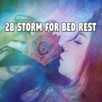 28 Storm for Bed Rest