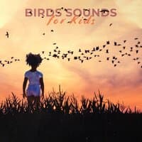 Birds Sounds for Kids - Deep Relaxation, Meditation, Morning Wake Up, Alarm Clock