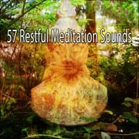 57 Restful Meditation Sounds