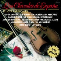 12 Joyas Musicales