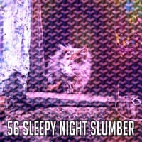 56 Sleepy Night Slumber