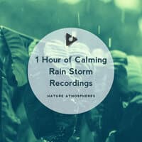 1 Hour of Calming Rain Storm Recordings