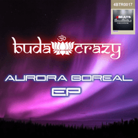 Aurora Boreal