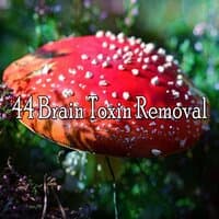 44 Brain Toxin Removal