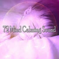 72 Mind Calming Sound