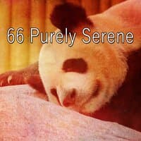 66 Purely Serene