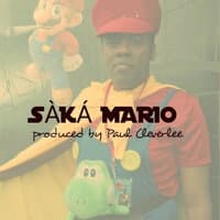 Saka Mario