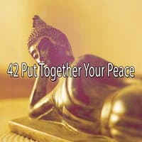 42 Put Together Your Peace