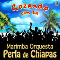 Gozando Con La Marimba Orquesta Perla De Chiapas