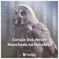 Coruja-Das-Neves Manchado na Natureza