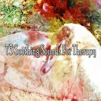 73 Soothing Sounds for Therapy