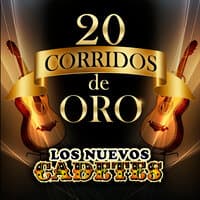 20 Corridos De Oro