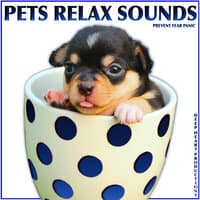 Pets Relax Sounds: Prevent Fear Panic