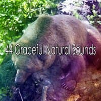 44 Graceful Natural Sounds