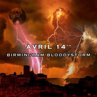 Birmingham Bloodstorm