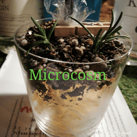 Microcosm