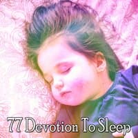 77 Devotion to Sleep