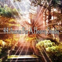 44 Auras for a Heavy Study