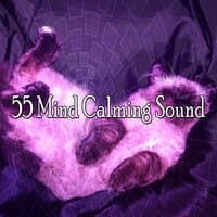 55 Mind Calming Sound