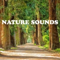 Nature Sounds