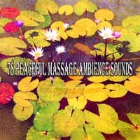 78 Peaceful Massage Ambience Sounds