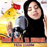 Mere Mola Ya Hussain