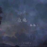 那个夜晚