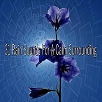 31 Rain Sounds for a Calm Surrounding