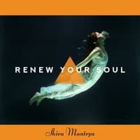 Renew Your Soul