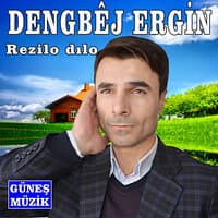 Rezilo Dılo