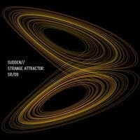 Strange Attractor