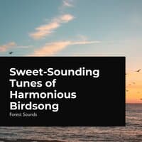 Sweet-Sounding Tunes of Harmonious Birdsong