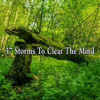 37 Storms to Clear the Mind