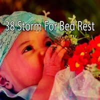 38 Storm for Bed Rest