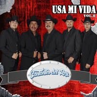 Usa Mi Vida, Vol. 8