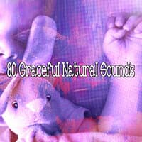 80 Graceful Natural Sounds