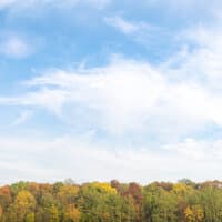 65 Sonidos Relajantes de la Naturaleza Para la Relajación Zen, Música Nueva Era, Sonidos de la Naturaleza, Salón de Buda