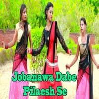 Jobanawa Dabe Pilaesh Se