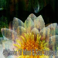 49 Peace of Mind & Soul Sounds