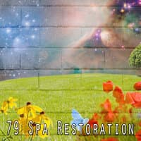 79 Spa Restoration