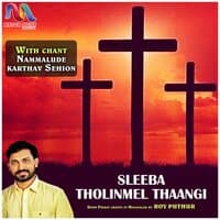 Sleeba Tholinmel Thaangi - Single