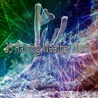 35 Raining Weather Music