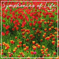 Symphonies Of Life, Vol. 9 - Vivaldi: Concerti