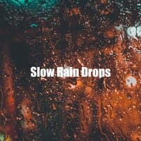 Slow Rain Drops