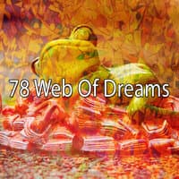 78 Web of Dreams